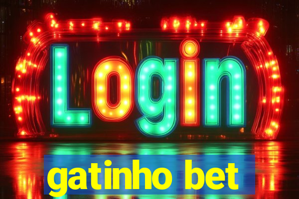 gatinho bet